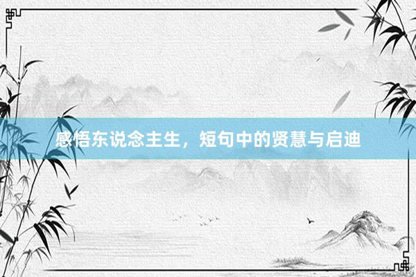 感悟东说念主生，短句中的贤慧与启迪