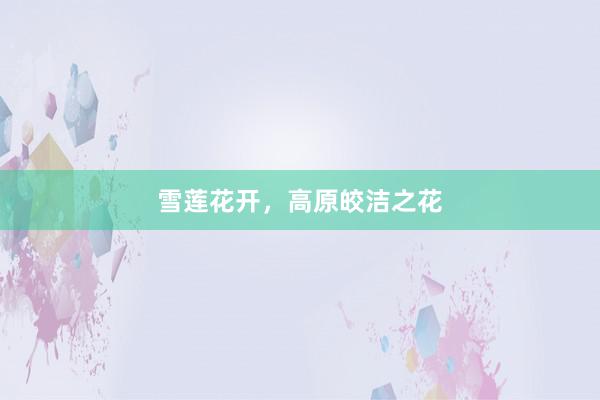 雪莲花开，高原皎洁之花